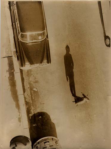 1971_biennaledeparis07