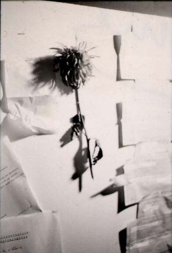 1971_panneau_mailart