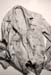 1971_pineau_veste2
