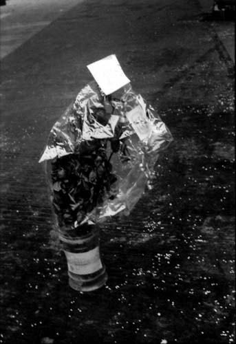1971_doc25