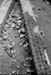 1971_doc13